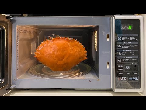 Tasty: Singapore Microwave Meals