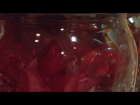 Jalea/Salsa de Arandanos Rojos. 🇨🇦