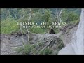 Elisha's She-Bears: The Might of Mothers