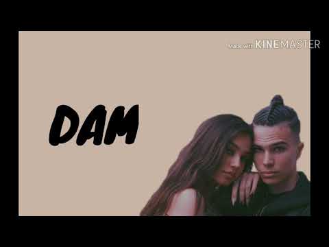 VOYAGE x BRESKVICA- DAM (TEKST)