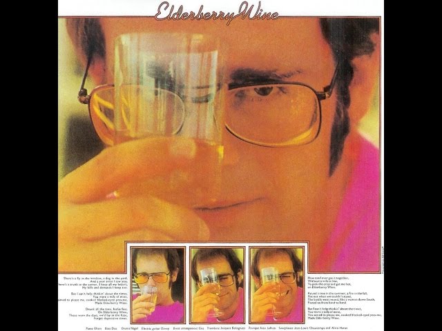 Elton John-Don't Shoot Me I'm Only The Piano Player Booklet-1973 in Arts & Collectibles in City of Toronto