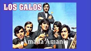 Amada Amante Music Video