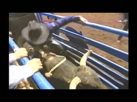 Mike White 2002 (90.0)