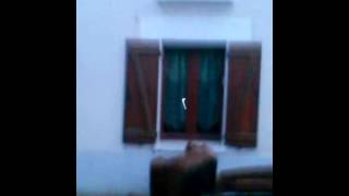 Les demenageurs du dimanche