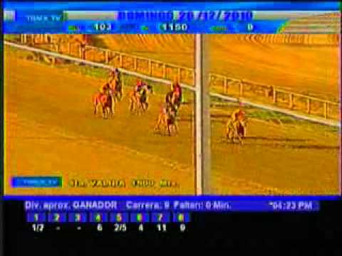 Resumen domingo 26 de Diciembre 2010 - La Rinconada