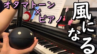 【ジブリ】風になる コラボで演奏してみた【シャロン×ワビサビ】