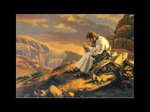 LA VIDA DE JESUS CAP2B CAFARNAUM