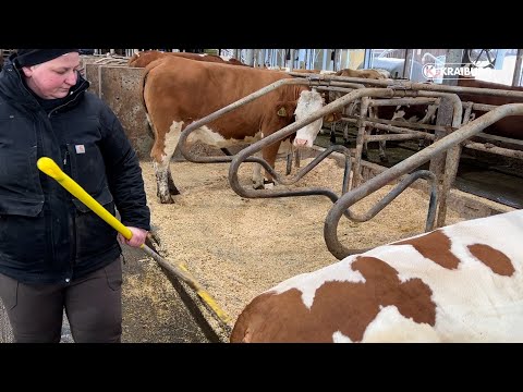 Warum Hochboxen – was sind die Vorteile im Vergleich zu Tiefboxen?