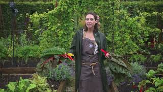 Yeo Valley Yogurt Naan