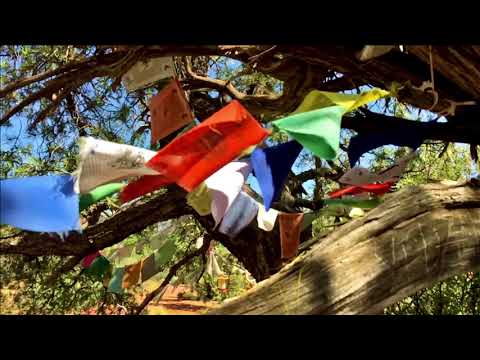 Oma Nata - Meditation