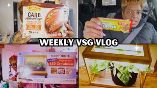Beginner Indoor Gardening Vlog 🌱 | Indoor Grow House Setup | House Plant Update