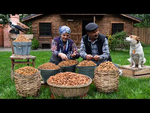 Fresh Almonds, Warm Oven – Simple Village Comfort 🌰🔥