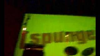 Spunge - Roots (The Crown)