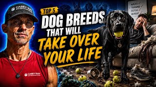 Top 5 Dog Breeds That Will Take Over Your Life