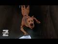 Scooby Doo 2 Monsters Unleashed Scooby Doo Vs The Monsters ClipZone Comedy Callbacks