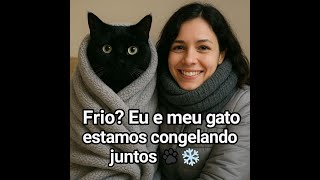 How to help your cat 🐈 in winter