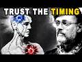 What Terence McKenna Saw Behind Carl Jung’s Theory Of Synchronicity