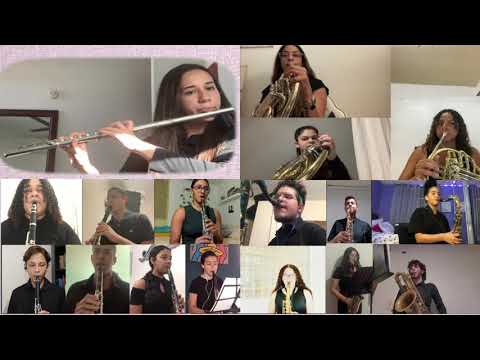 Solo Flight - Larry Neeck