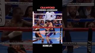 Terence Crawford Punishing Aggression 😵 #canelocrawford