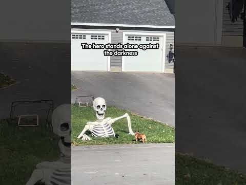 Il est si courageux, il n'a peur de personne