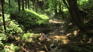 リトル・フォレスト　夏・秋