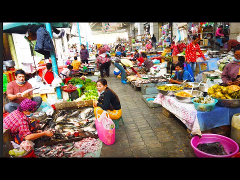 Street Food Tour - Boeung Trabaek Market Food Scenes In Phnom Penh City