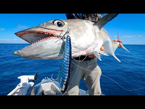 Fishing Tropical Islands for Spanish Mackerel - Smoked Spanno Tacos