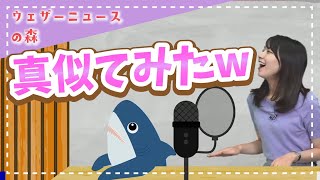 【檜山沙耶】サメちゃんの真似をする天真爛漫な檜山沙耶【ウェザ森】ウェザーニュースの森【切り抜き】