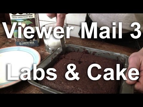 5 Minute Choc Cake, Seed Soil, & Gary's Labs - Viewer Mail 3 - GardenFork