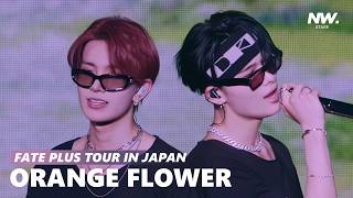 Download lagu [4K 60FPS] ENHYPEN (엔하이픈) - Orange Flower (You Complete Me) | FATE  IN JAPAN mp3