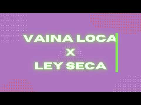 Vaina Loca x Ley Seca (Mashup)