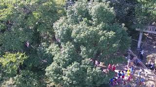 平成三十年　生石神社秋季例大祭　本宮　参道の屋台（音声無し）
