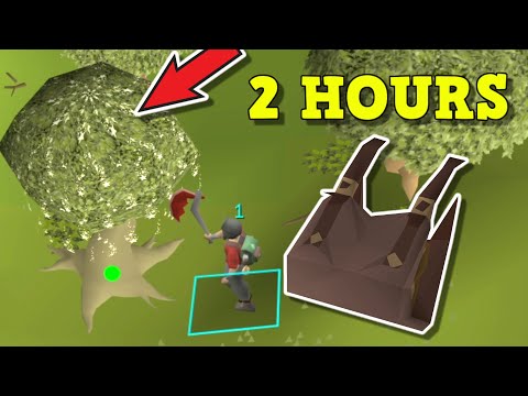 Solo Forestry Guide! - New Forestry Guide Fastest Method In Game... (OSRS)