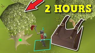 Solo Forestry Guide! - New Forestry Guide Fastest Method In Game... (OSRS)