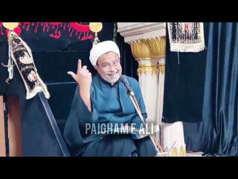 23rd Safar Majlis | 1446 2024 | Maulana Wasi Hasan Khan | #muharram #viralvideo