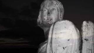 Tom Petty And The Heart Breakers Luna  Berwick Upon Tweed