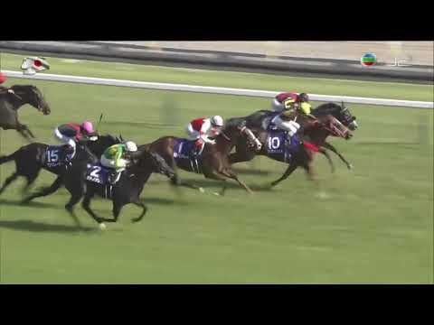 2018 Yasuda Kinen International Group 1 1600m