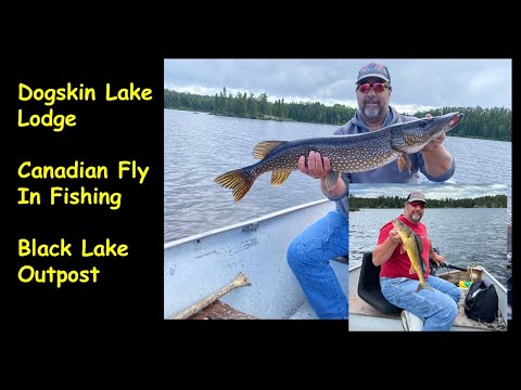 Canadian Fly In Fishing - Dogskin Lake Lodge - Black Lake