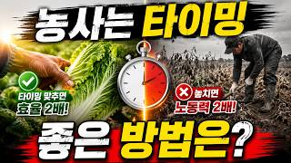 [한국농업기술TV] 아직도 무작정 당기시나요? 배나무 수형 잡기, '곡우'의 마법을 확인하세요