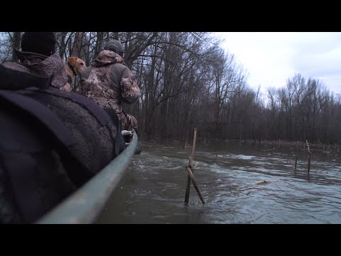 Higdon Outdoors TV - 601 "Backwater"