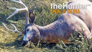 Hunting with Dad | Thehunter: Call of The Wild Live!