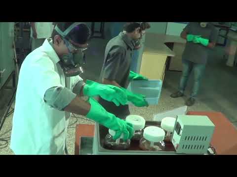 India Collaborations