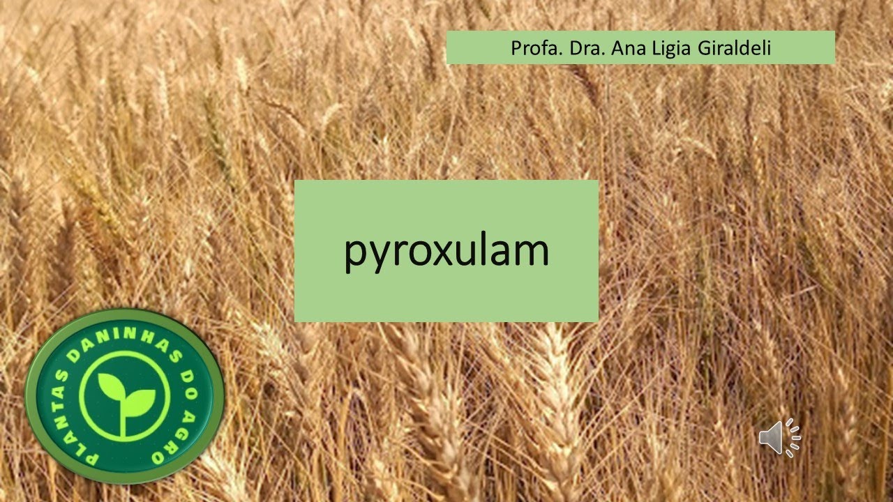 HERBICIDA PYROXULAM
