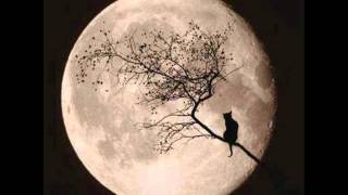 solo se que fue en marzo   juan gabriel