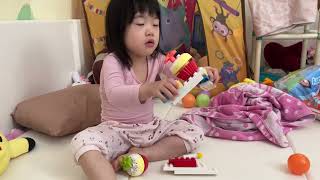 さくらちゃんが撮影拒否🌸さくら通信🌸2024年2月29日🌸日泰ハーフ3歳2ヶ月