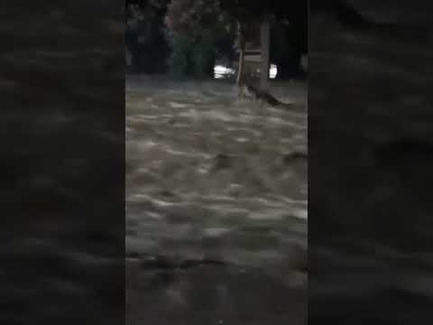 Flooding in La Merced, Salta Province, Argentina#Flooding #Argentina