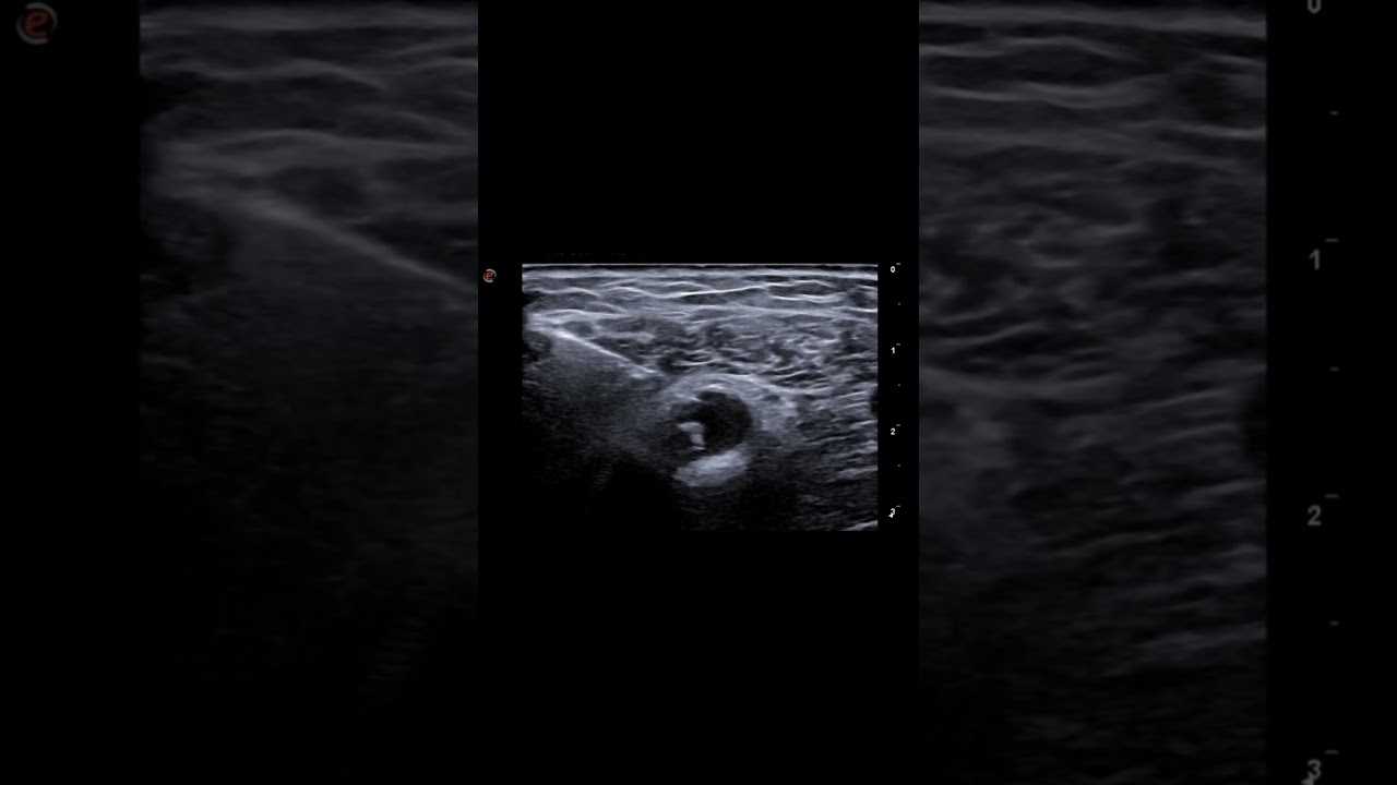 Salvatore Andrea Failla-5