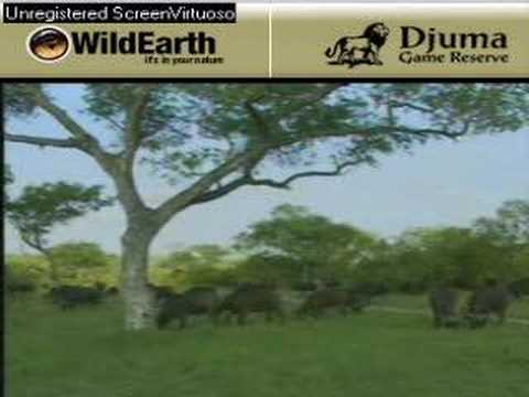 Sunset drive 111807-4