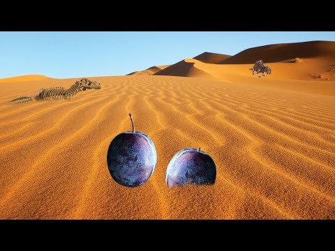 Zwei Pflaumen in der Wüste.. #001 - ARK: Scorched Earth