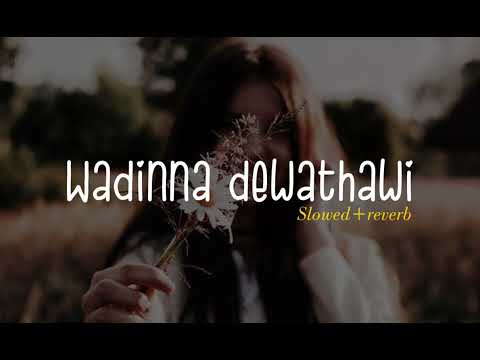 වඩින්න දේවතාවි | wadinna dewathawi | Ras them song | (slowed and reverb)